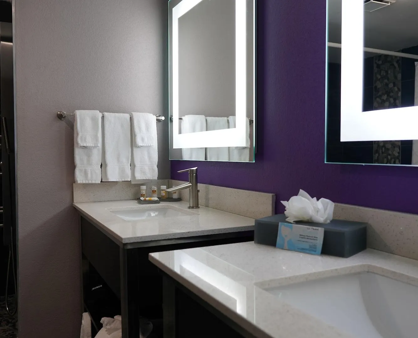 La Quinta By Wyndham Branson
