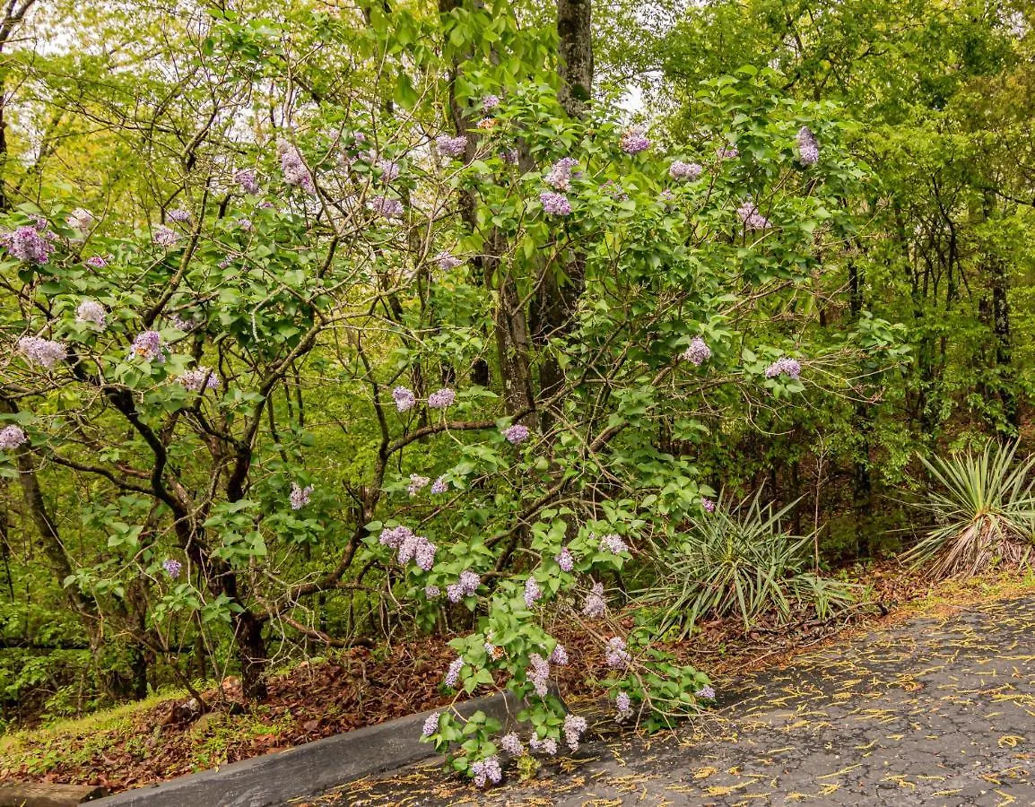 Autumn Creek Branson Motel 2*