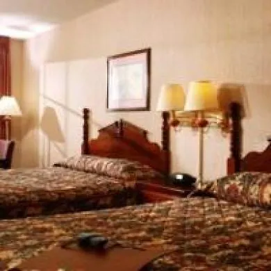 Angel - Central Branson
