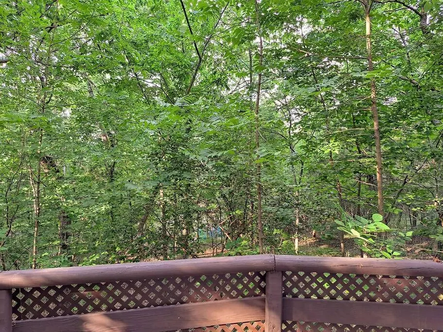 Tribesman Luxury # 7 On Table Rock Near Silver Dollar City, *