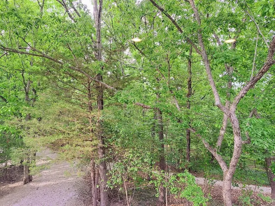 Tribesman Luxury #9 On Table Rock Near Silver Dollar City, Villa