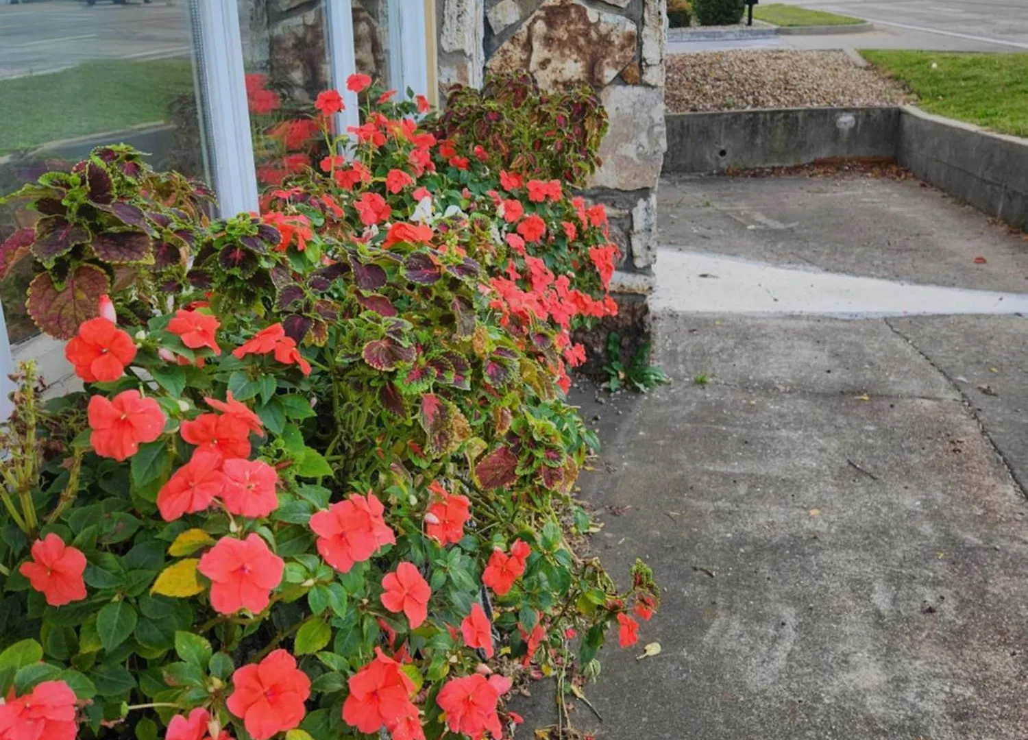 Motel Homestead 3*