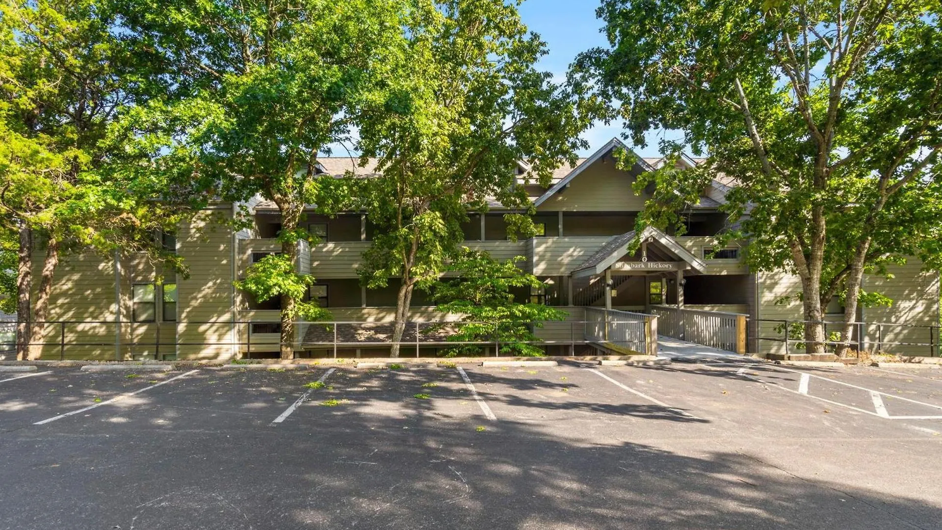 Shagbark Hickory -- 1010 Branson