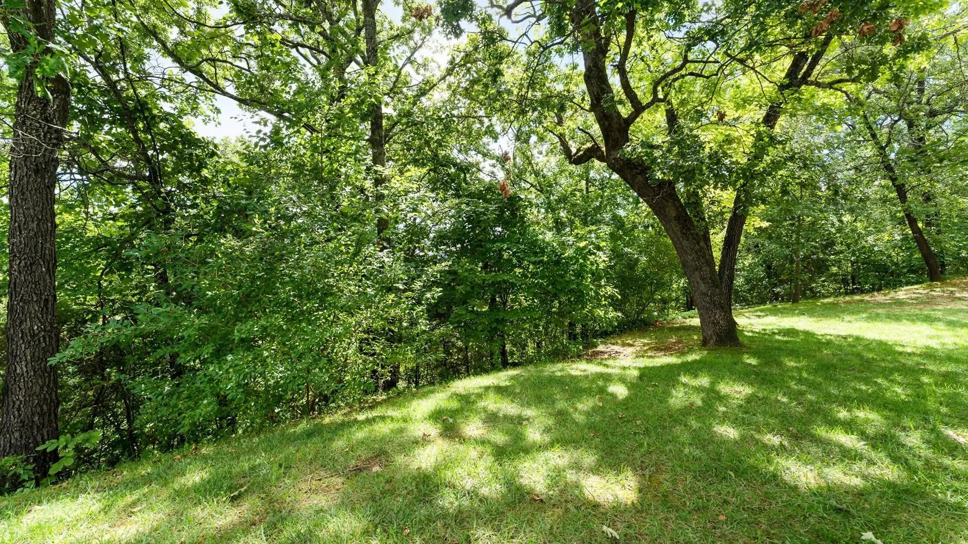 Appartement Bluffs Oasis Branson