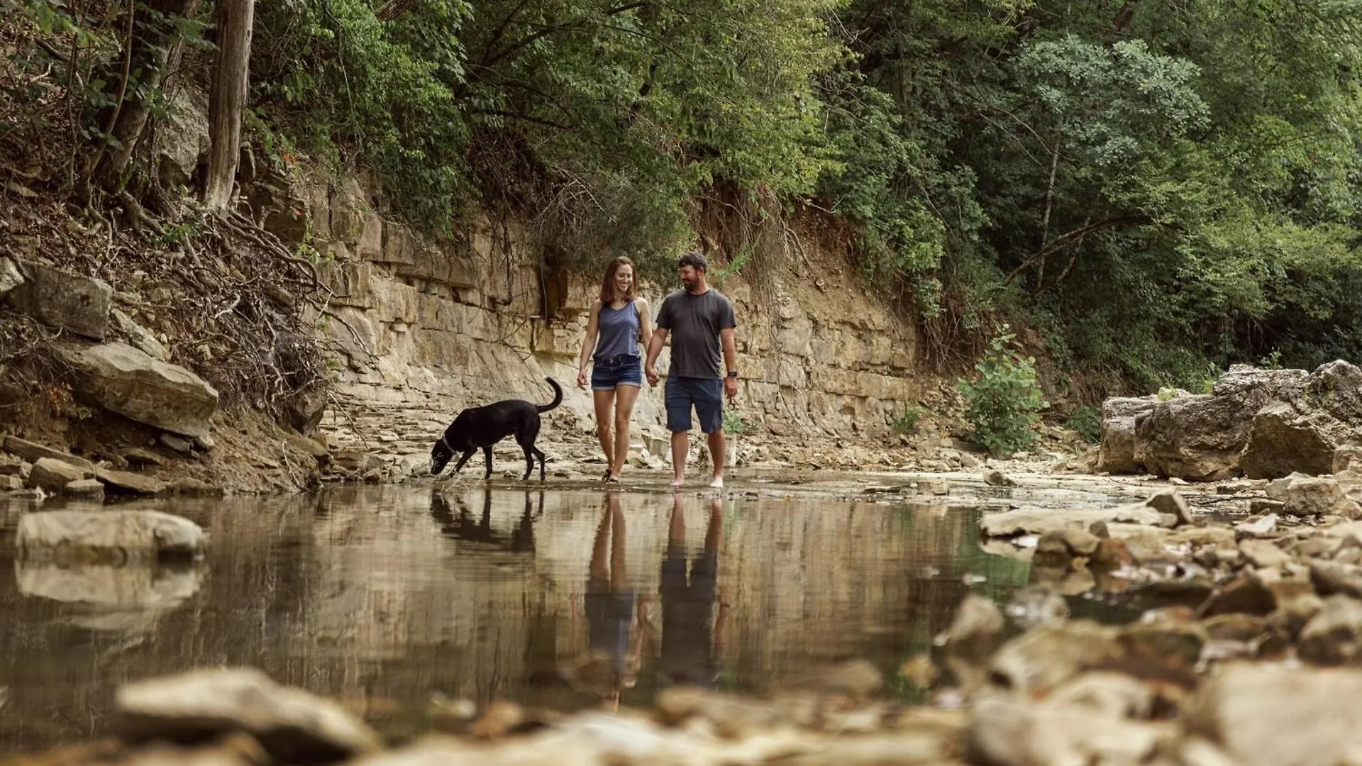 موتيل The Ozarker 4*