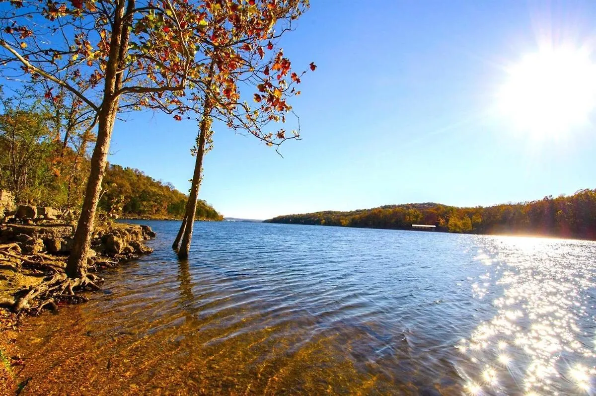 Spring Break Special! No Stairs, View, Sdc, 8-4 Apartment Branson