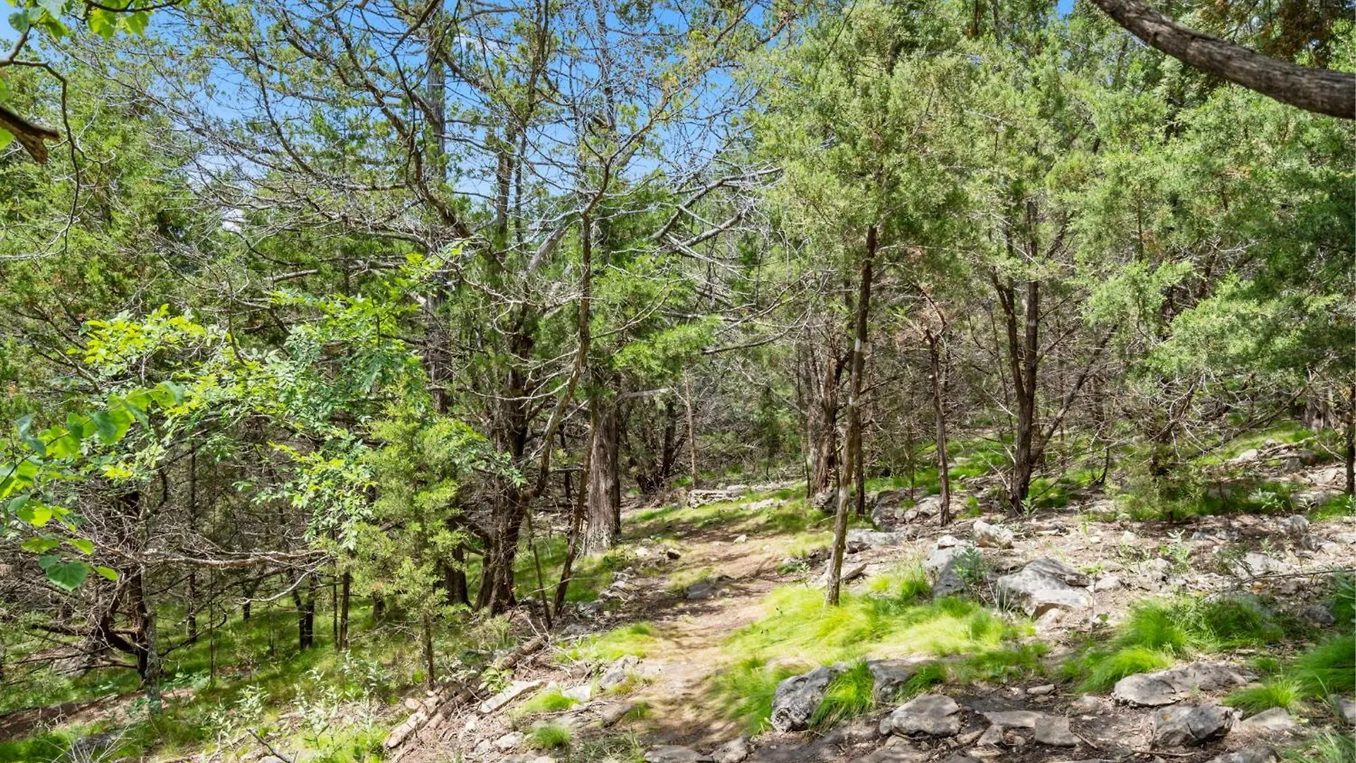 Tatil Evi New Log With Ozark Sunset Views, $400 Daily Activities Included, Pickleball