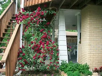 Lakeshore Bed & Breakfast