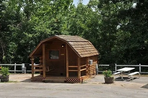 Koa
