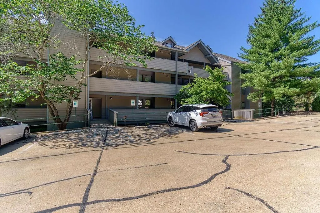 White Pine -- 1204