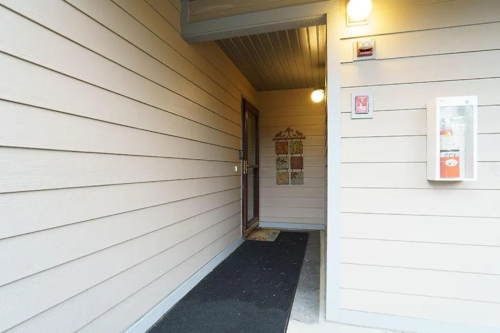 Scotch Pine With Loft -- 1310