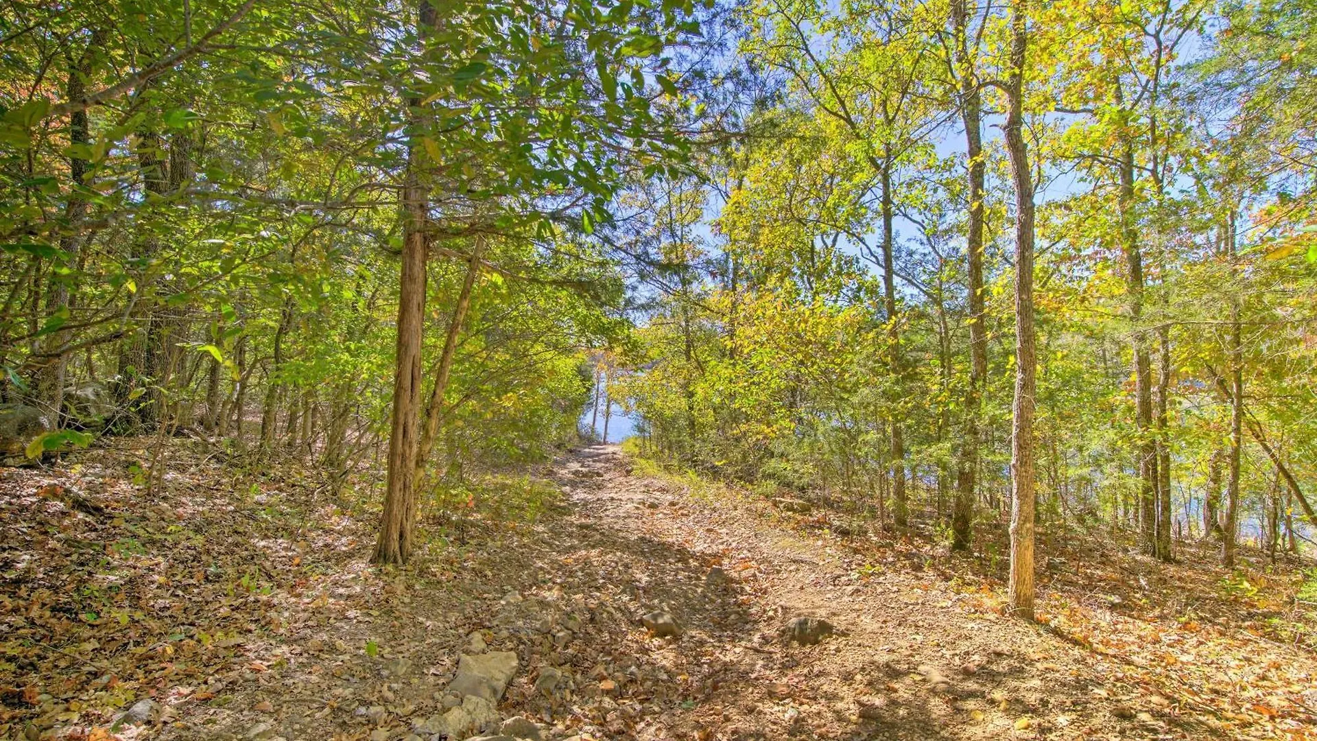 公寓 With View 1 Mi To Silver Dollar City!