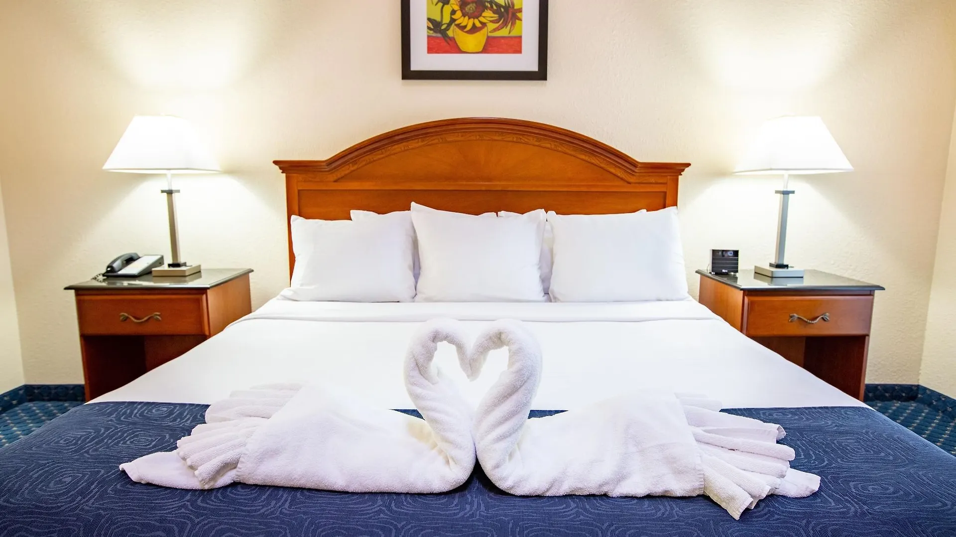 Radisson Branson