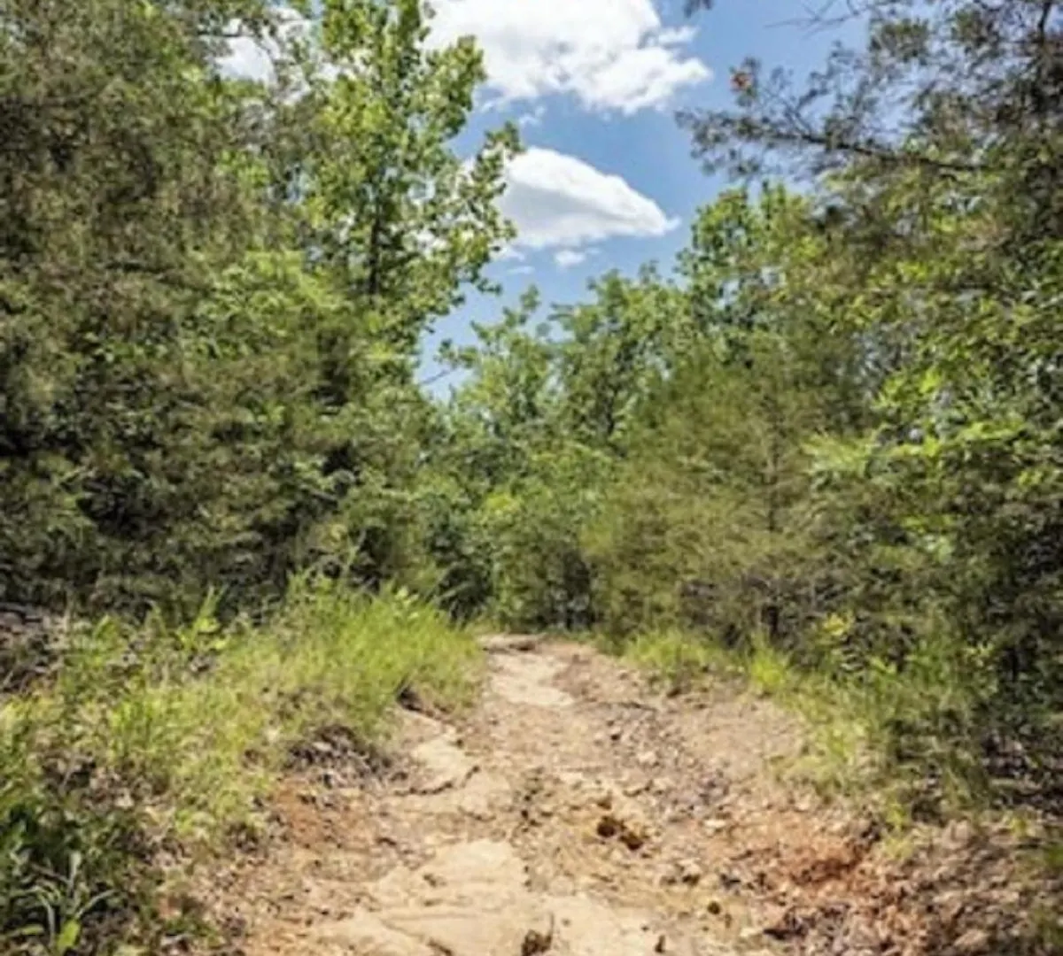 Beautiful Getaway-next To Silver Dollar &tablerock-family Amenities