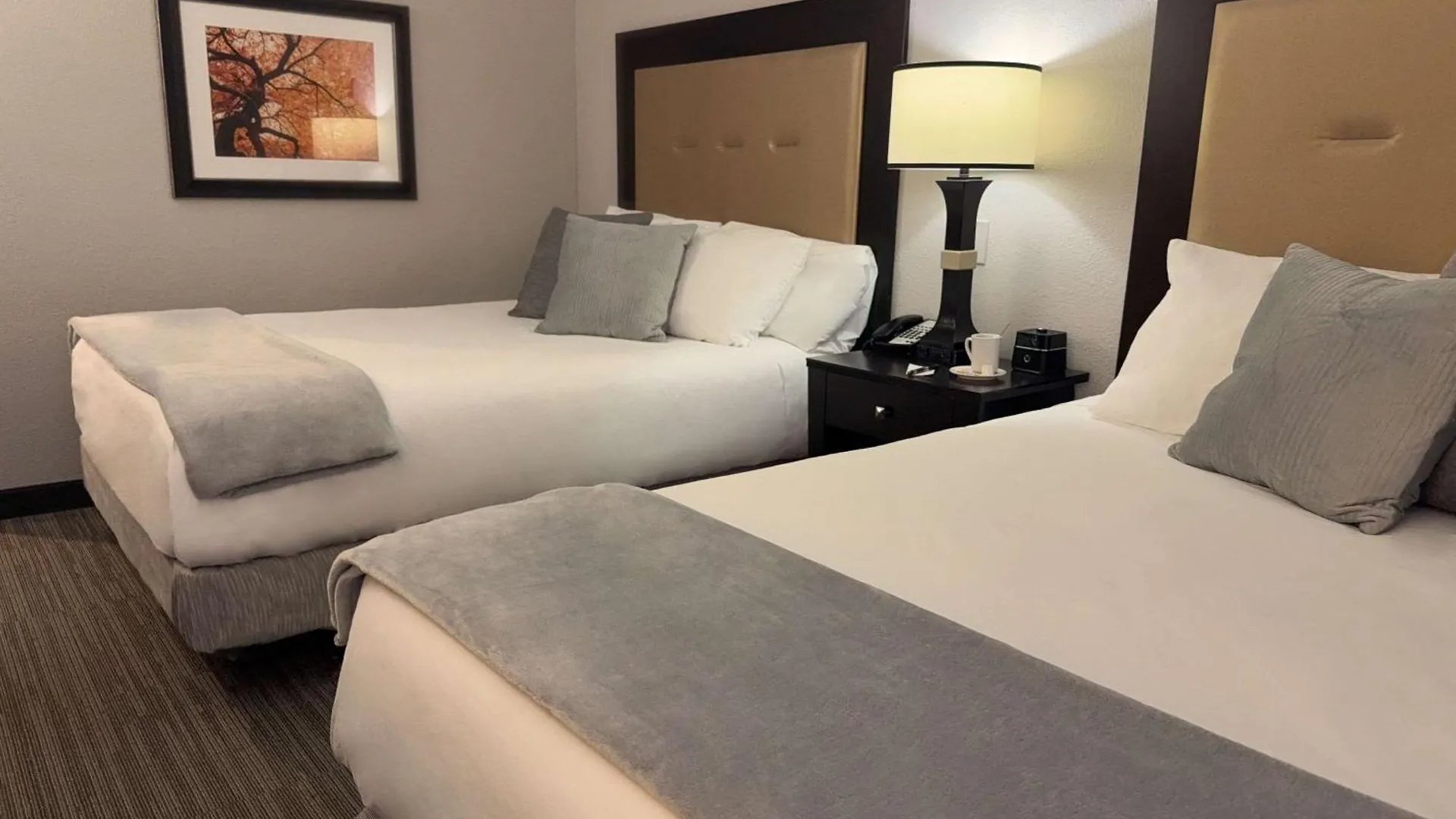 Hillside 3*