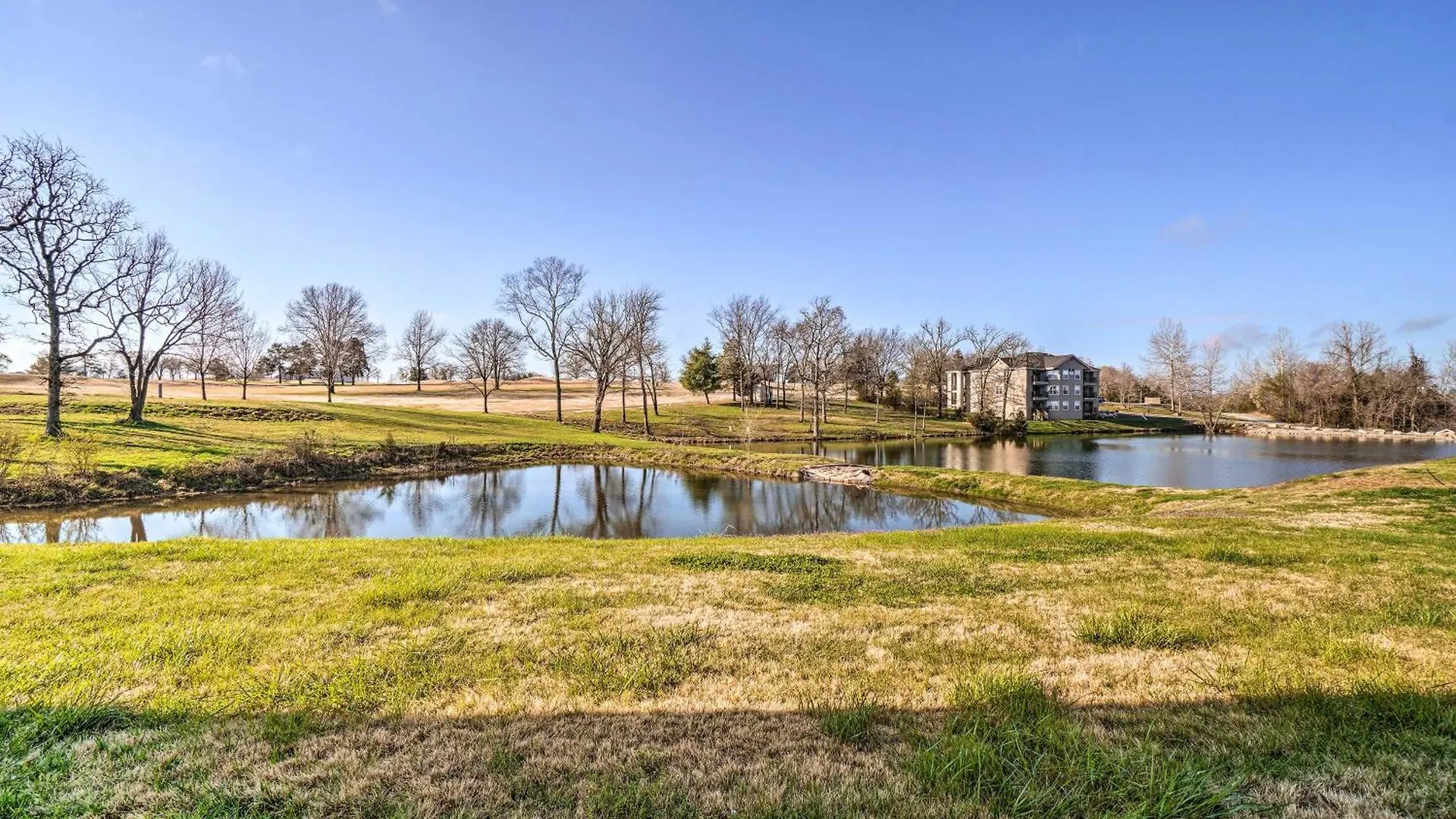 Pristine Hills In Branson! Branson