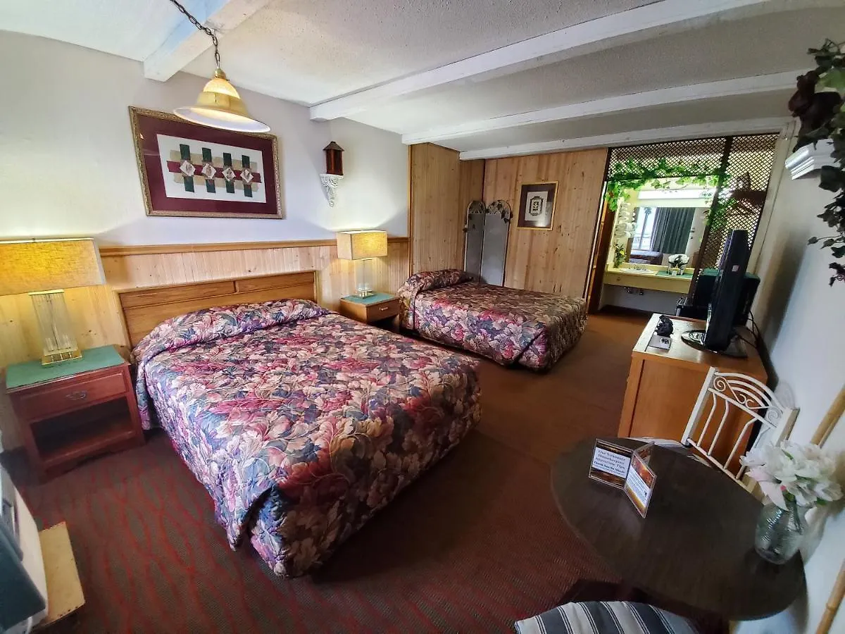 6 Branson, Mo Hotel Branson